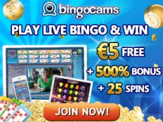 bingocams